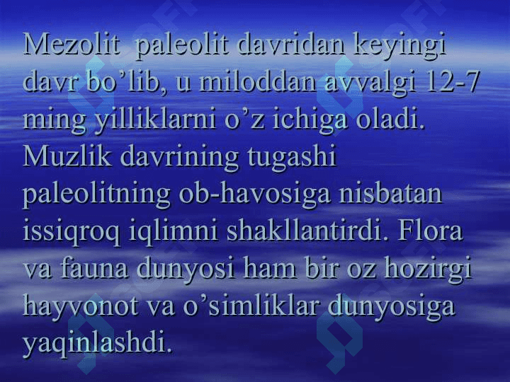 Mezolit 6