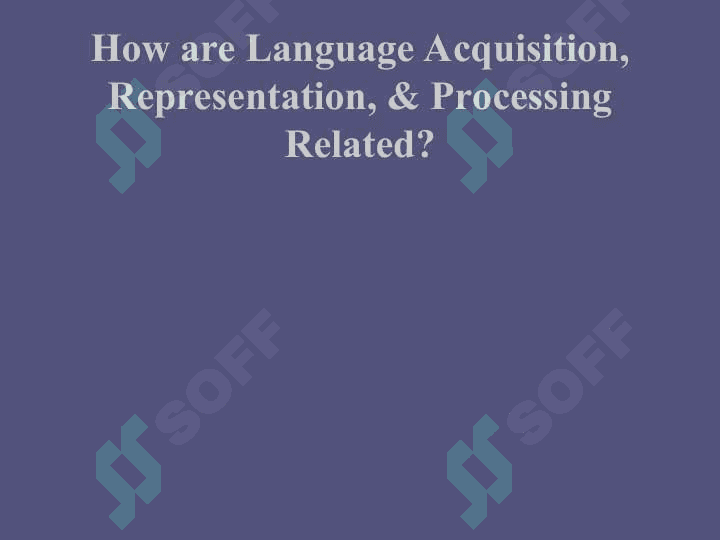 What is Language Acquisition 5