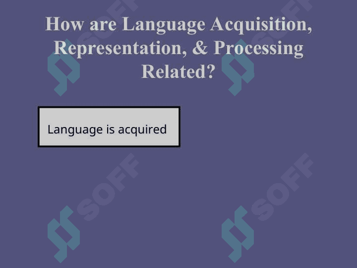 What is Language Acquisition 6