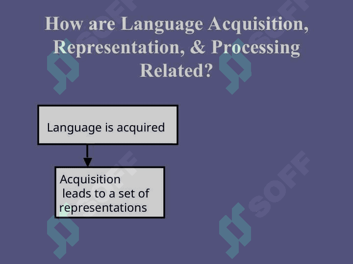 What is Language Acquisition 7