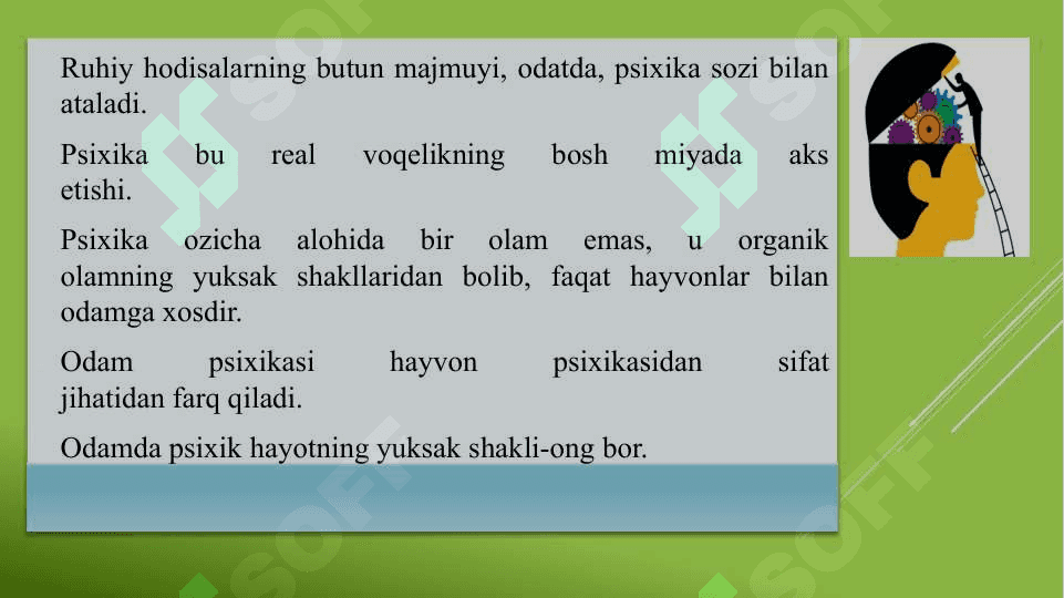 Psixologiya mustaqil fan sifatida 4