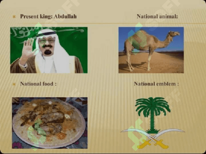 Saudia Arabia 3