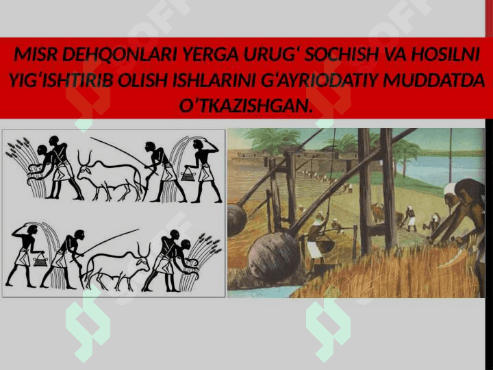 SIVILIZATSIYALAR TIZIMIDA MISR 8