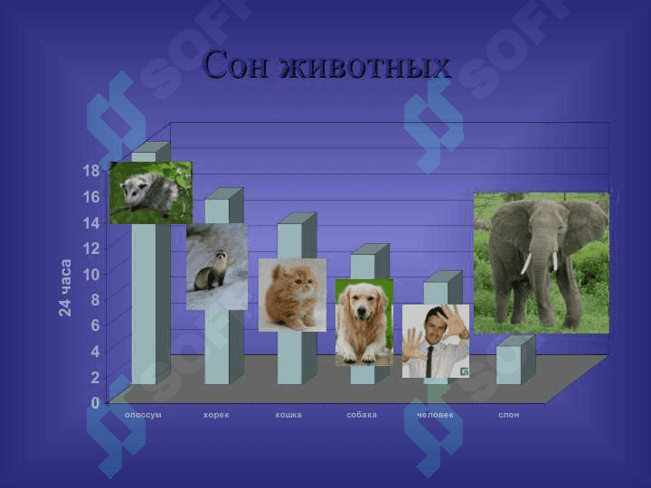 СОН И СНОВИДЕНИЯ 4