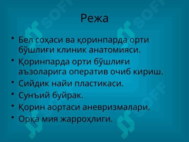 bel sohasi klinik anatomiyasi 2