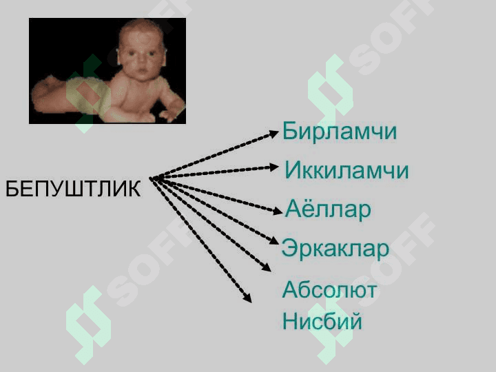 Б Е П У Ш Т Л И К 4