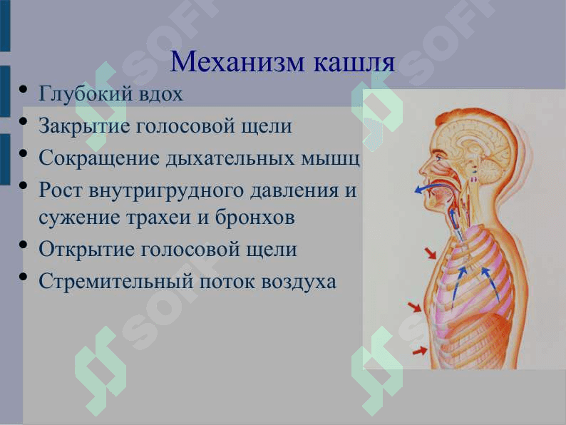 КАШЕЛЬ У ДЕТЕЙ 6