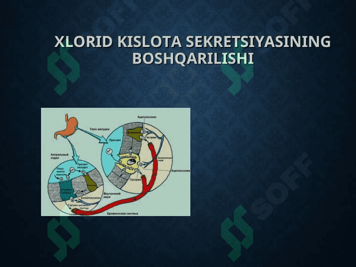 ME'DA VA O`N IKKI  BARMOQLI  ICHAK YARA KASALLIGI 8