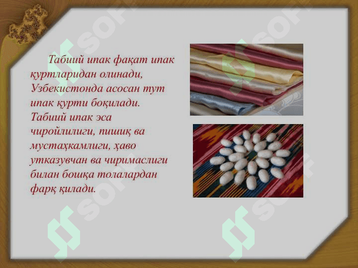 Тут ипак қурти 3