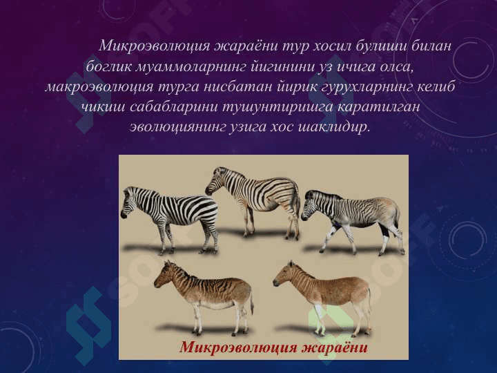 Макроэволюция муаммолари. Онтогенез эволюцяиси. Филэмбриогенез хакида таълимот 2
