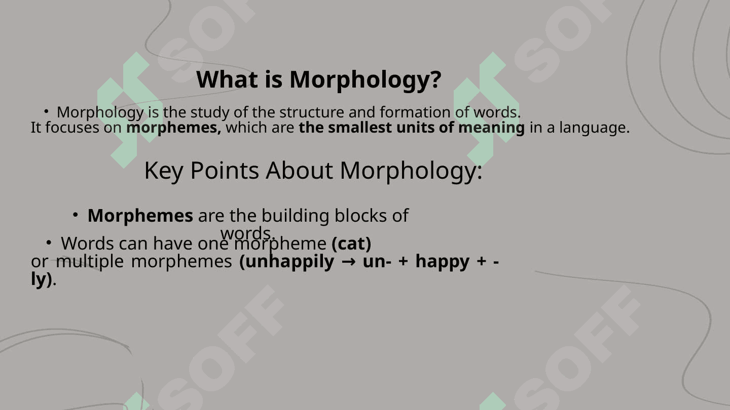Morphology 3