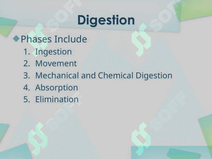 Digestive System 2