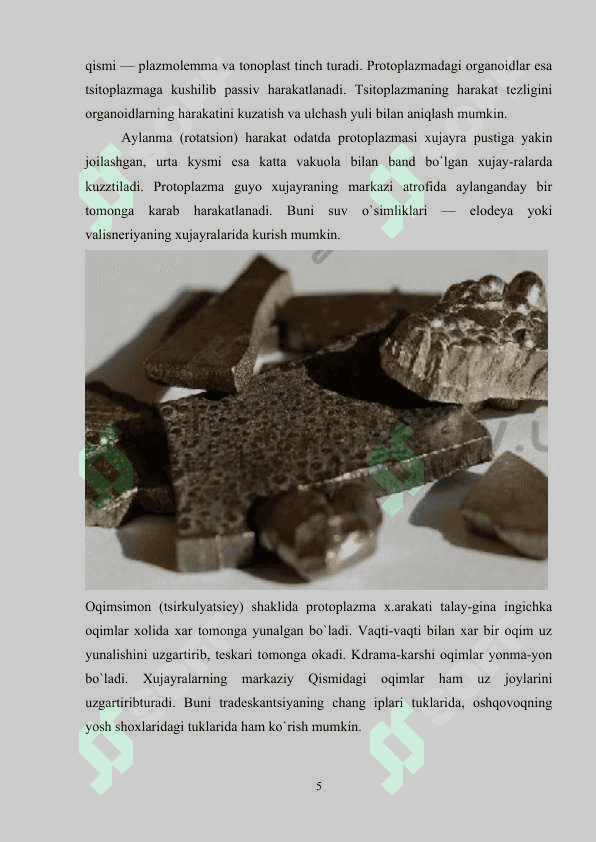 PROTOPLAZMANING FIZIK KIMYOVIY XOSSALARI 5