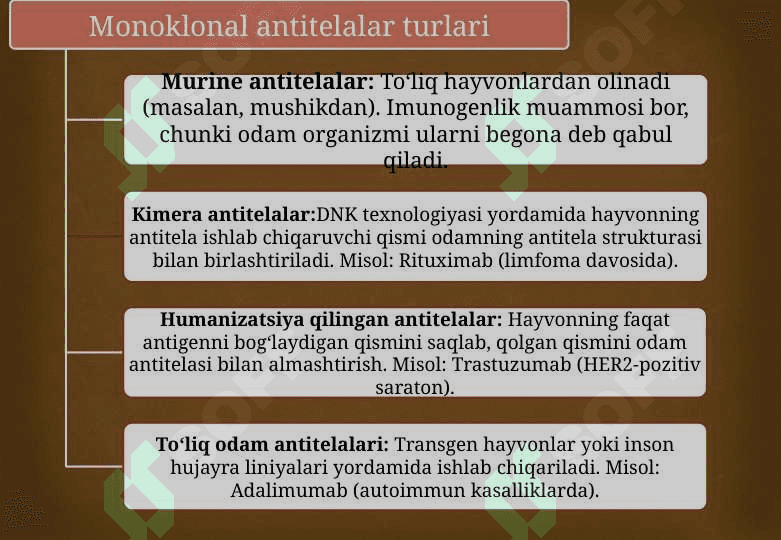 Monoklonal antitelalar, ularning olinishi, tiplari va amaliyotda qo‘llanilishi. 4