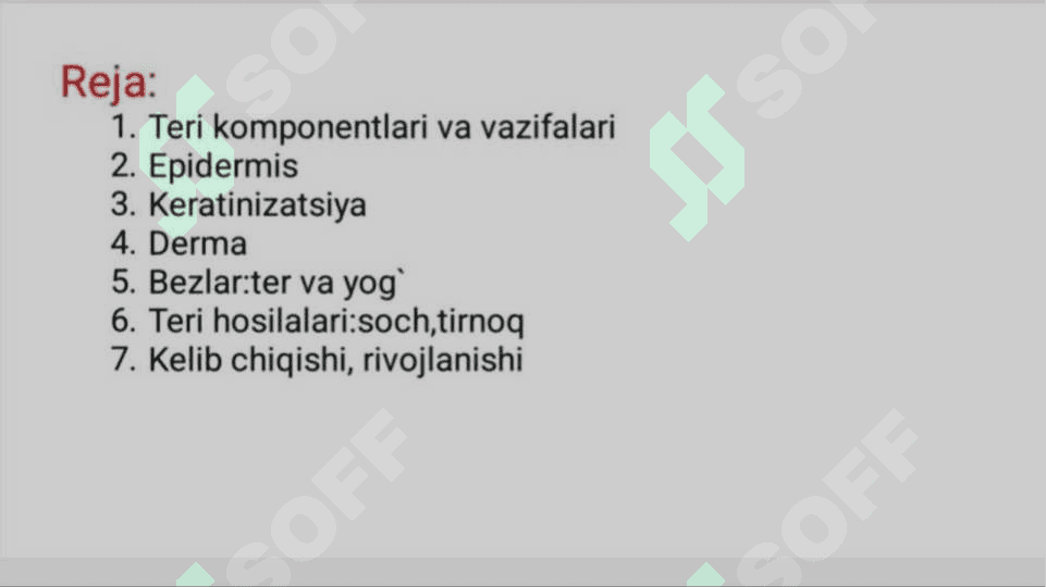 Keratinizatsiya jarayonlari haqida zamonaviy tasavvurlar 2
