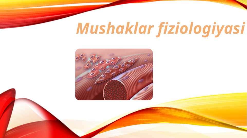 Mushaklar fiziologiyasi