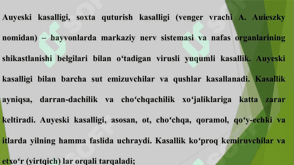 AUYESKI KASALLIGI AUYESKI KASALLIGI 2