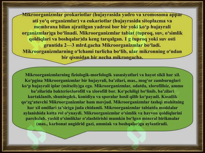 Mikroorganizmlar orqali boradigan biotexnologik jarayonlar 3