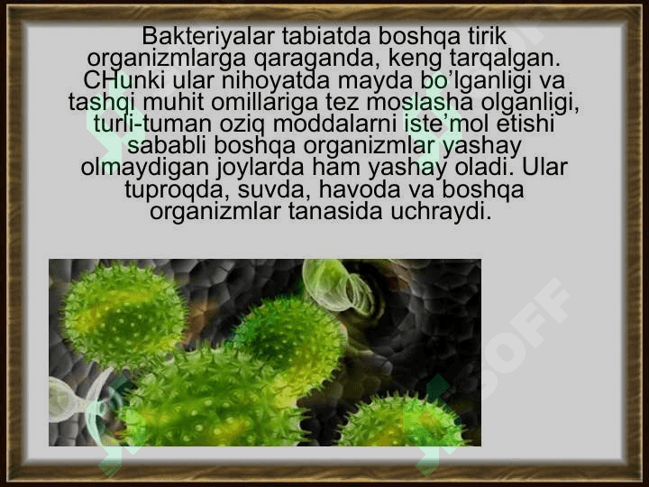 Mikroorganizmlar orqali boradigan biotexnologik jarayonlar 4