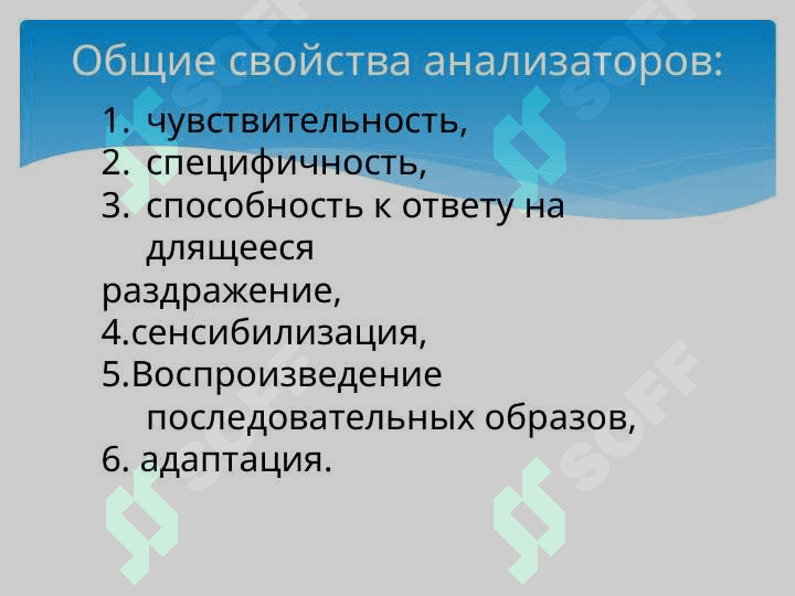Физиология анализаторов 3