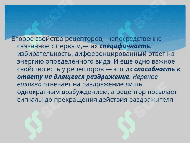 Физиология анализаторов 5