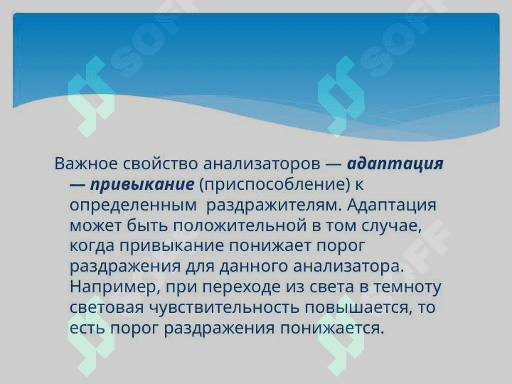 Физиология анализаторов 7