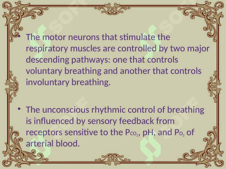 Regulation of breathing 2