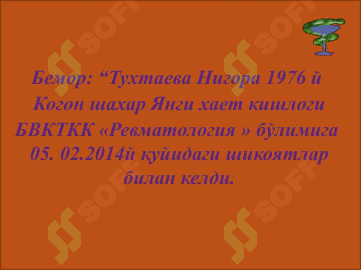 Тизимли кизил югурик 2