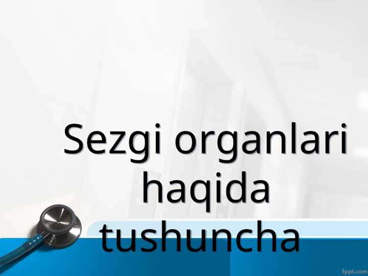 Sezgi organlari haqida tushuncha