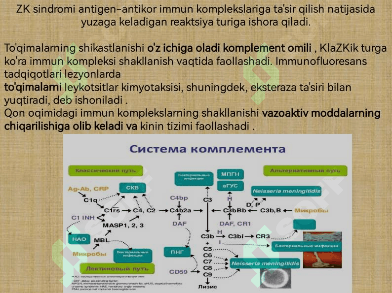 Zardob kasalligi 8