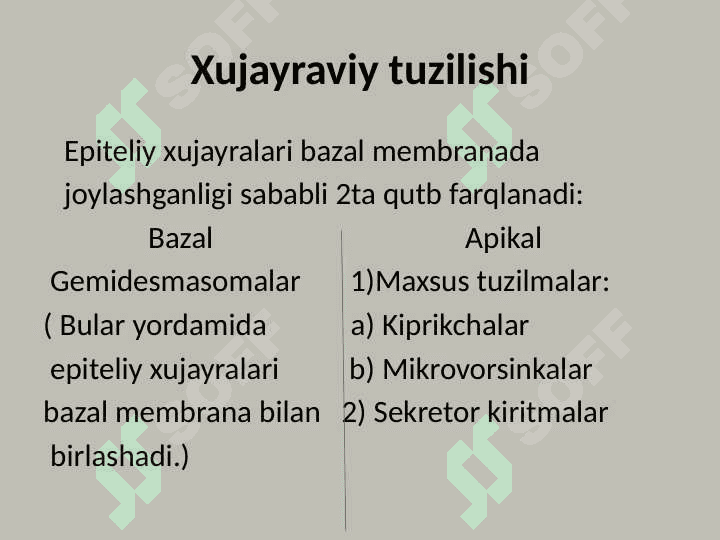 epiteliy to'qimasi 4