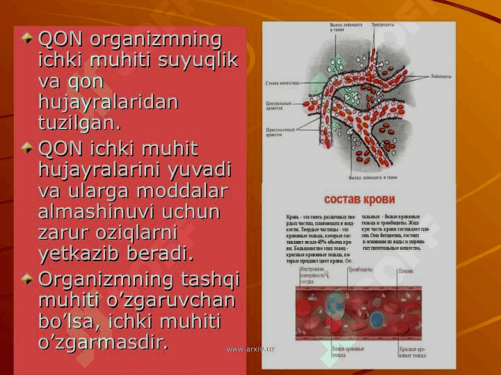 Qon fizik kimyoviy hususiyatlarini tekshirish eritrolistlar va gemoglabin 4
