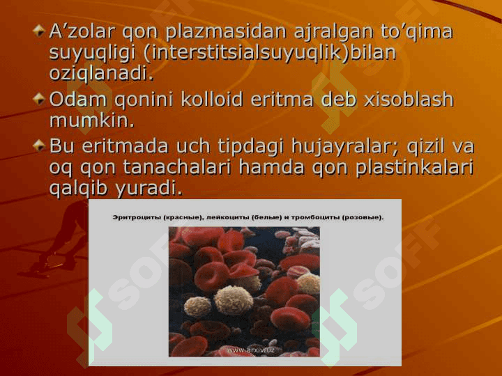 Qon fizik kimyoviy hususiyatlarini tekshirish eritrolistlar va gemoglabin 7