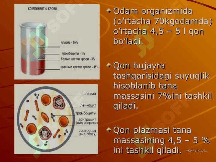 Qon fizik kimyoviy hususiyatlarini tekshirish eritrolistlar va gemoglabin 8