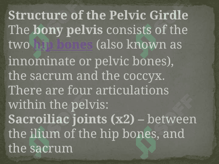 The Pelvis 3