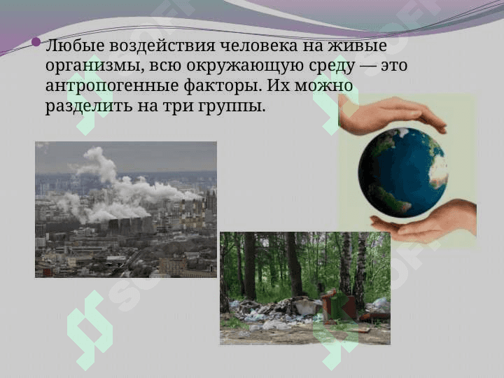 Антропогенные факторы, влияние на здоровье населения. 4