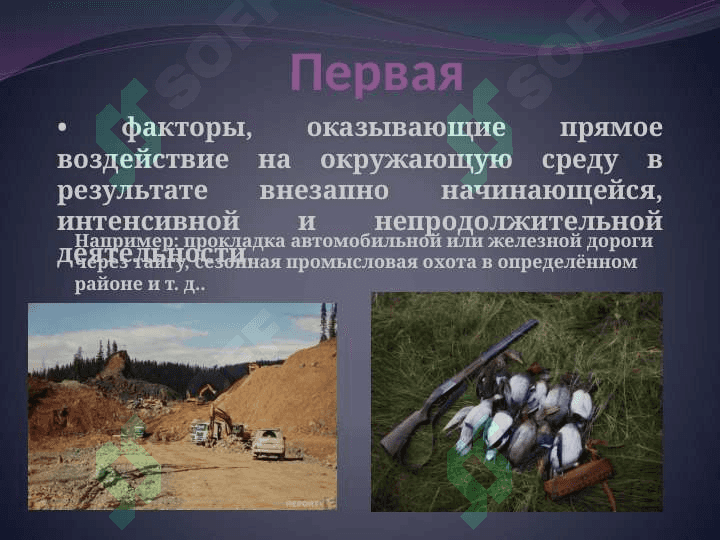 Антропогенные факторы, влияние на здоровье населения. 6