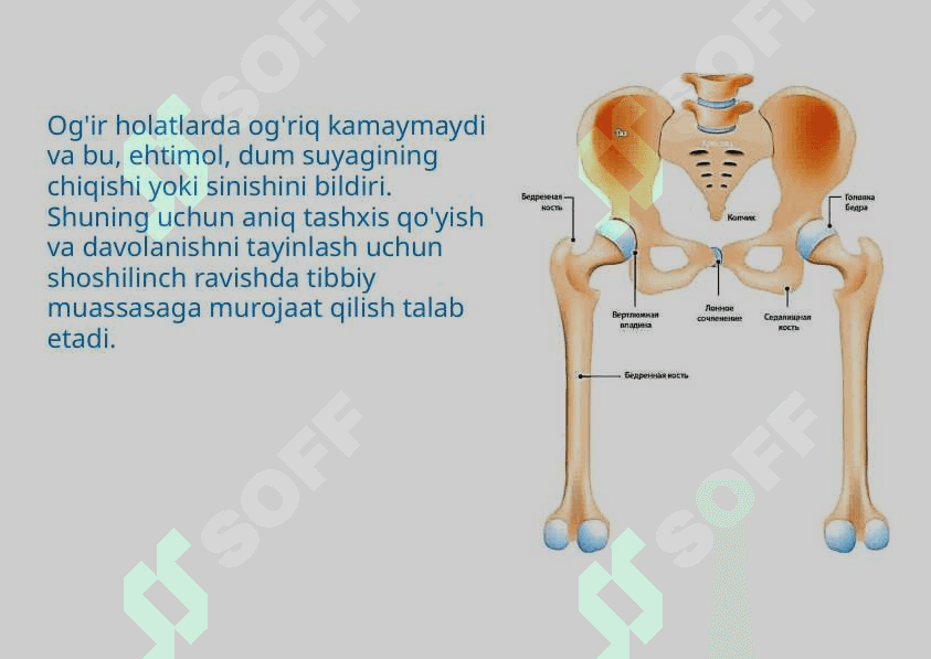 DUM SUYAGI TRAVMASI POSTARVMATIK KOKTSIGODINIYA 7