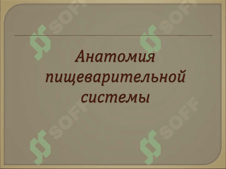 Спланхнология 7