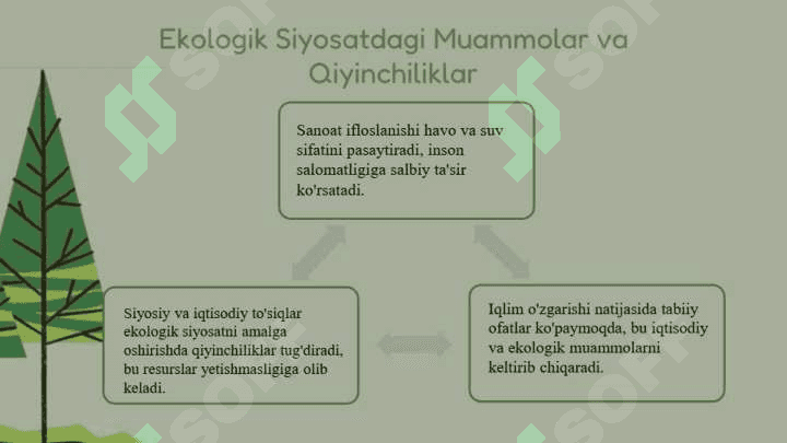 amerika qoshma shtatlarining ekollogik siyosati haqida 6
