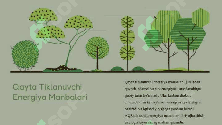 amerika qoshma shtatlarining ekollogik siyosati haqida 8