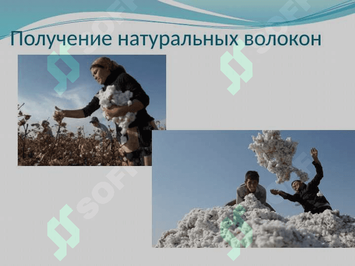 Текстильная промышленность: особенности, значение и перспективы развития | Презентация для студентов 1 курса 6