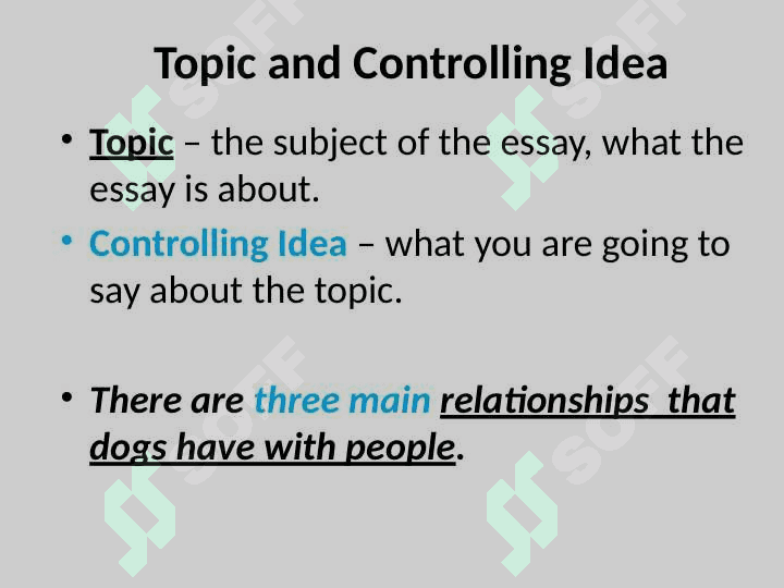 Thesis Statement 3