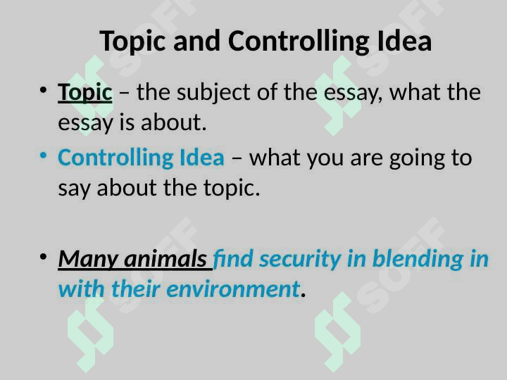 Thesis Statement 4