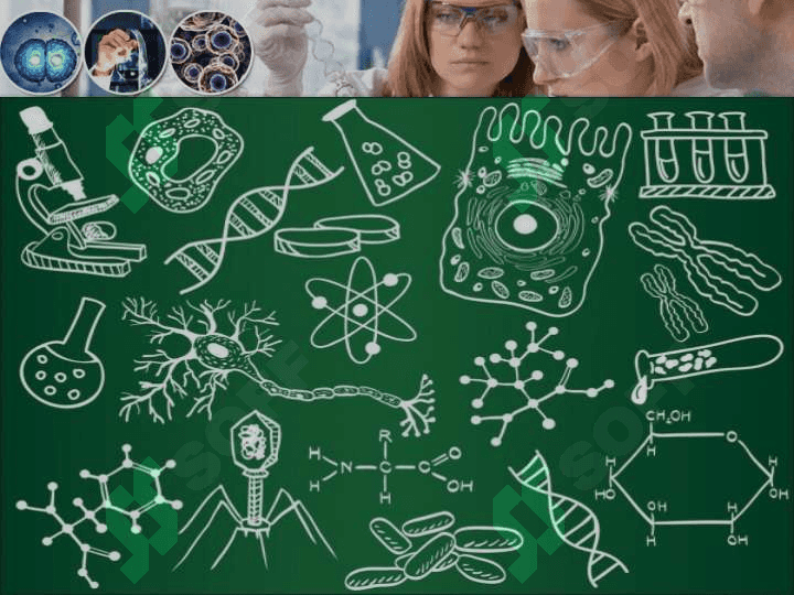 Biologiya darsida noan’anaviy usullarni qo’llash metodlari 4