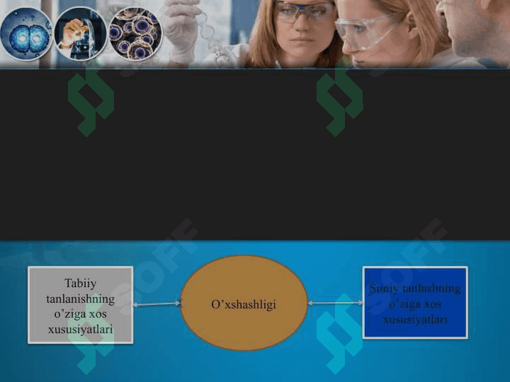 Biologiya darsida noan’anaviy usullarni qo’llash metodlari 7