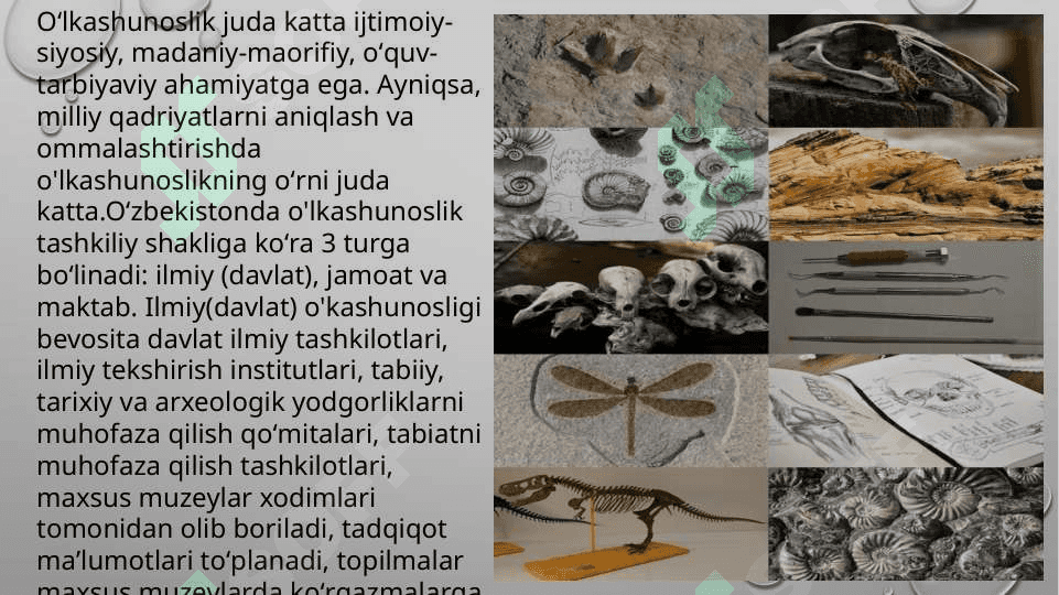 Paleontrapologik va etnografik ma’lumotlarning o’lka tarixini o’rganishdagi ahamiyati 5