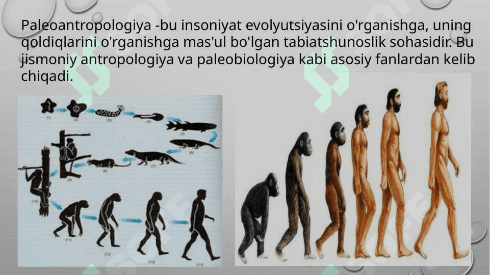 Paleontrapologik va etnografik ma’lumotlarning o’lka tarixini o’rganishdagi ahamiyati 7