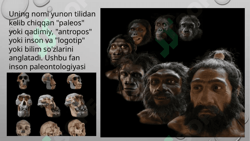 Paleontrapologik va etnografik ma’lumotlarning o’lka tarixini o’rganishdagi ahamiyati 8