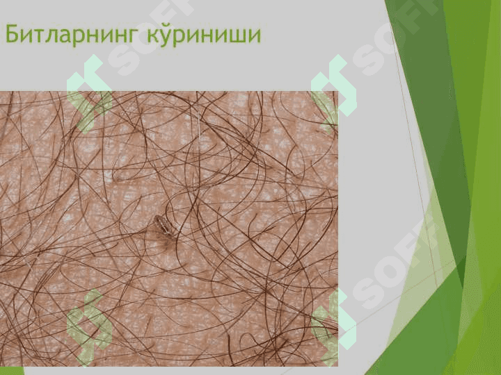 Битлаш . Bitlash 6